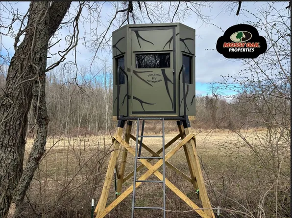 12000 W 223rd, Manitou Beach, MI 49253