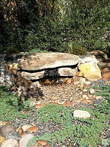 4th image of 2517 Pepperwood Dr