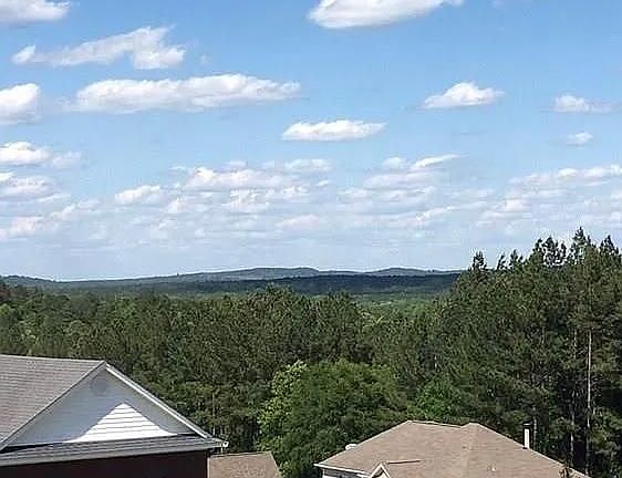 5th image of 169 Forest Hill Rd