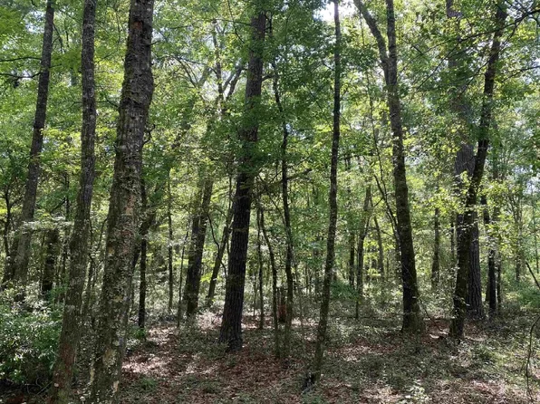 Ashville Highlands #D, Greenville, FL 32331