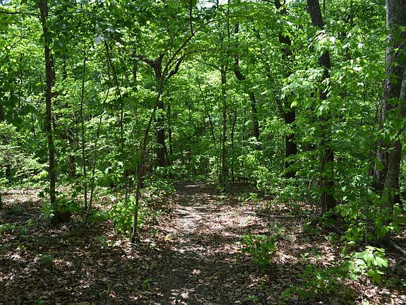 2nd image of 101 Shadowcreek Ct #232