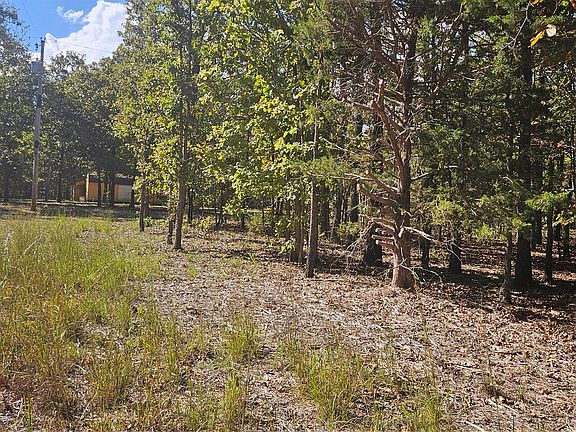 2nd image of Nakedhead Ridge Rd