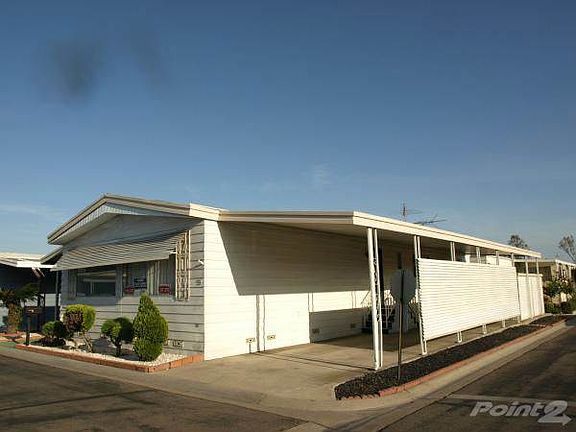 Corner lot/ Privacy screen