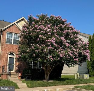 638 Berwick Ct, Abingdon, MD, 21009