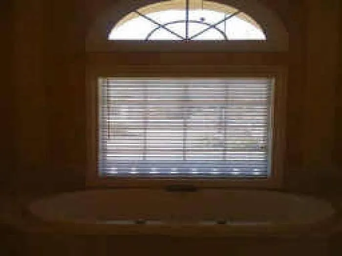 9 bed, 4.5 bath, $2,800 — Photo 3