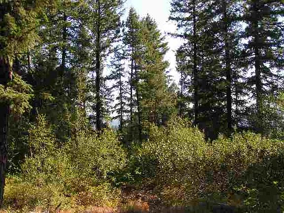2nd image of 0 Tract 43 Ros #98281