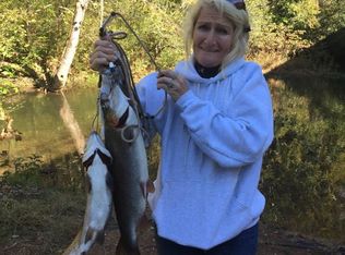 470 W Mountaintown Trl #2, Ellijay, GA 30540