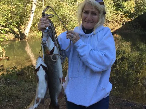 470 W Mountaintown Trl #2, Ellijay, GA 30540