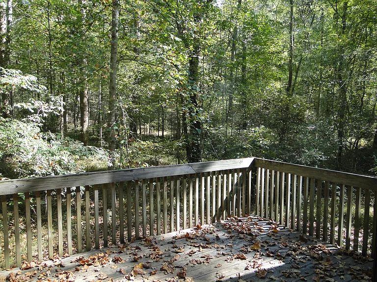 1521 Partridgeberry Rd #B — Photo 8
