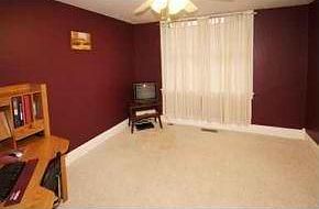 5th image of 21 Alvina St