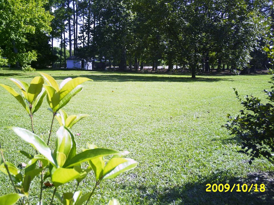 yard veiw 