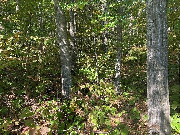 3rd image of 5 Acres Town Hall Road