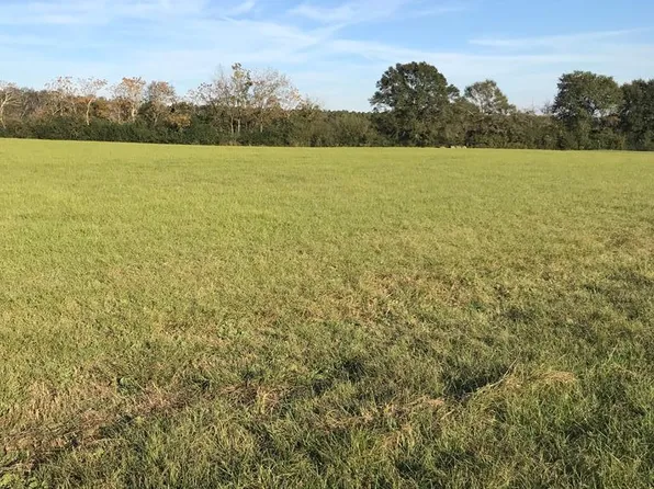 428 County Road 4404, Banks, AL 36005