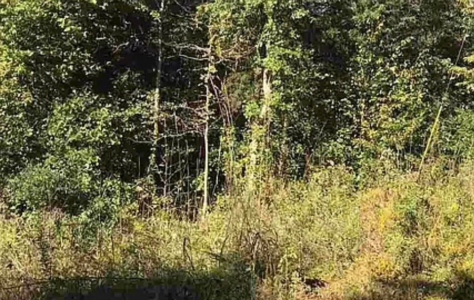 2nd image of 853 S Davis Dr