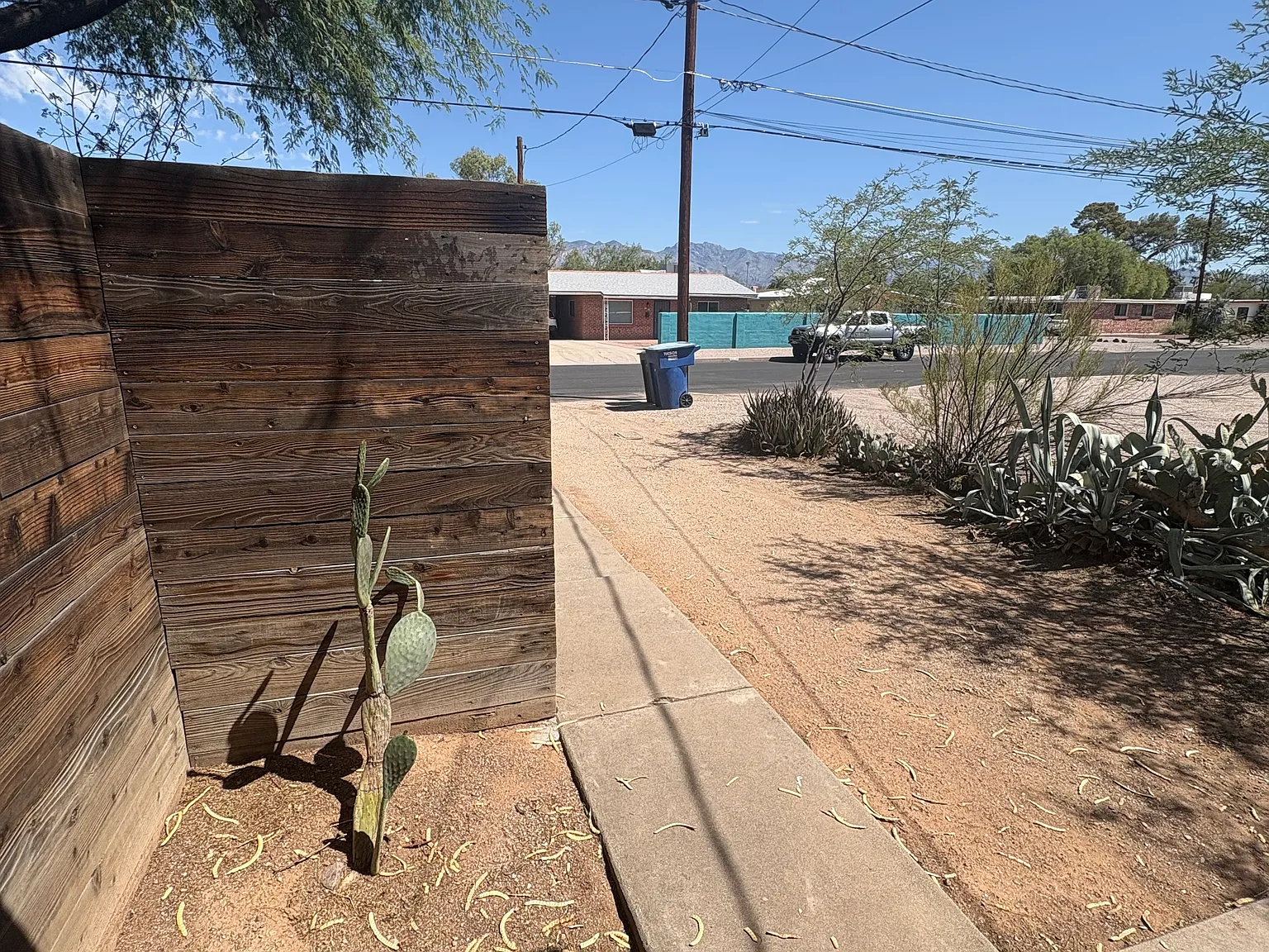 1 bed, 711 sqft, $1,600 — Photo 3