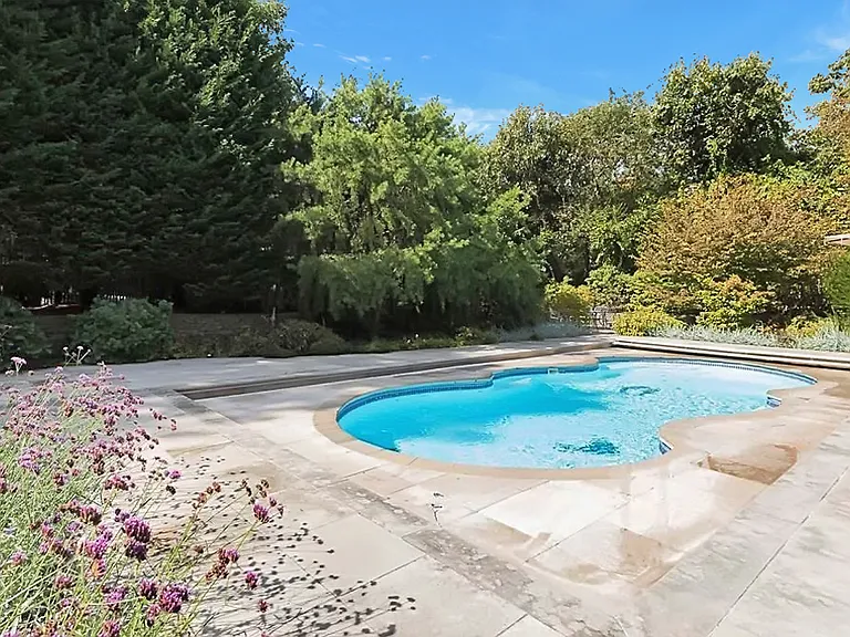 250 Pine Tree Ct — Photo 21