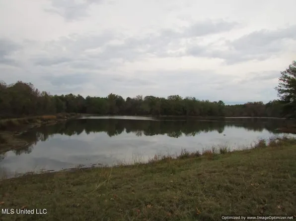 Davis Crossing Rd, Canton, MS 39046