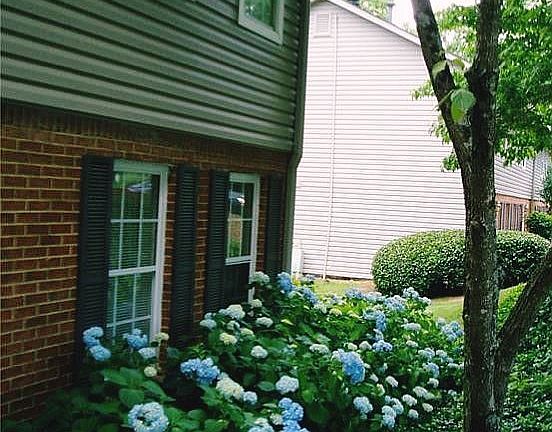 Main Entrance in Spring