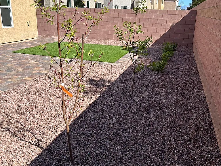 7176 Waving Tree St — Photo 17