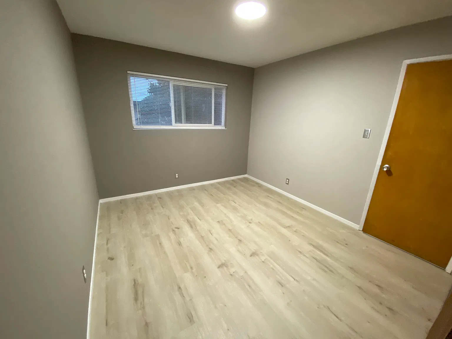1343 Liberty St — Photo 4