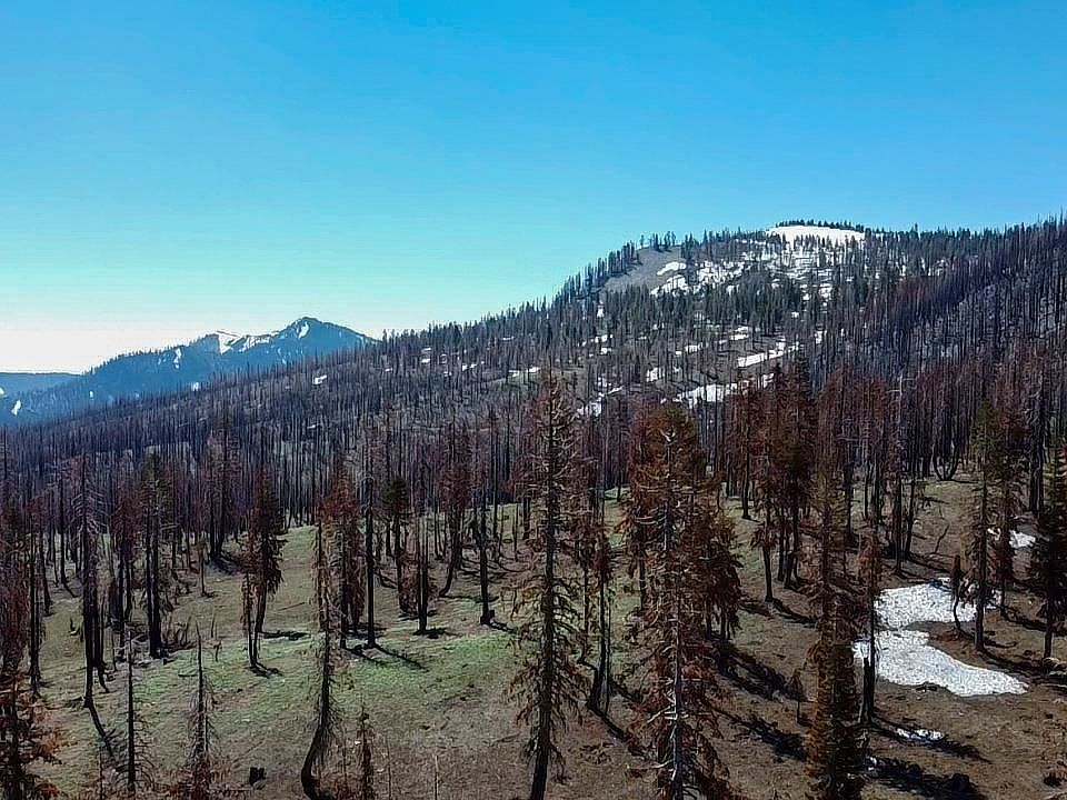 0 Usfs Rd 4216, Macdoel, CA 96058 MLS 20230712 Zillow
