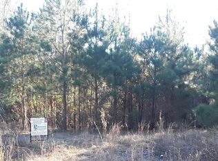 Snake Swamp Rd, Cope, SC 29038