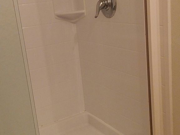 Master walk-in shower