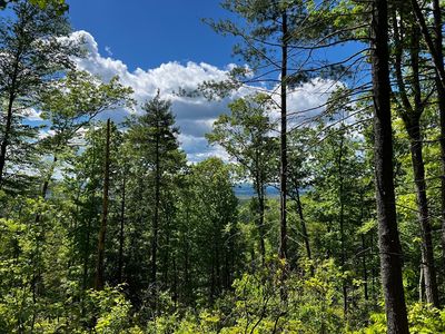 2 Hannabrooke Dr, Leverett, MA, 01054