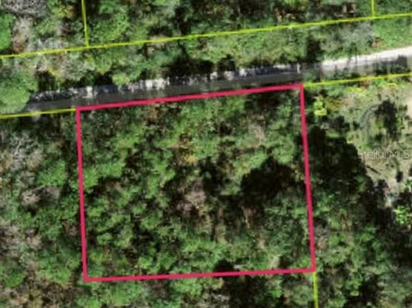 LOT 48 Amelia Trl Lot 48, Kissimmee, FL 34747