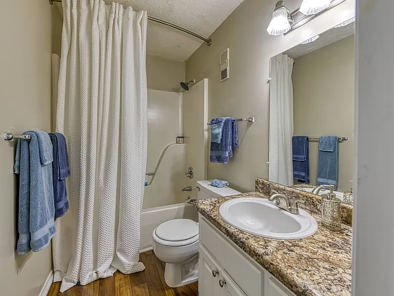 Renovated Bathrooms with Wood-style Floors