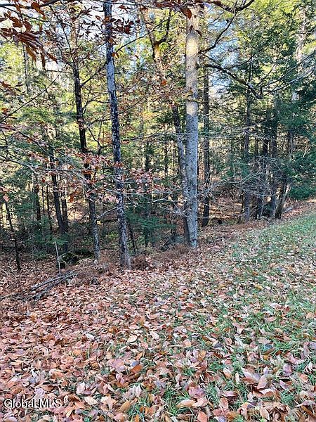 5th image of L5.322 South Trout Lake Road