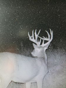 Tbd 208th Ave, Erhard, MN, 56534