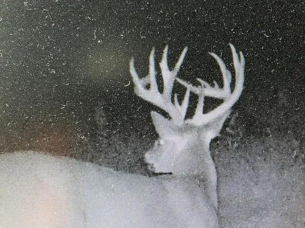 Tbd 208th Ave, Erhard, MN 56534