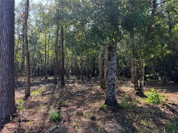 Smith Rd, Pearl River, LA 70452