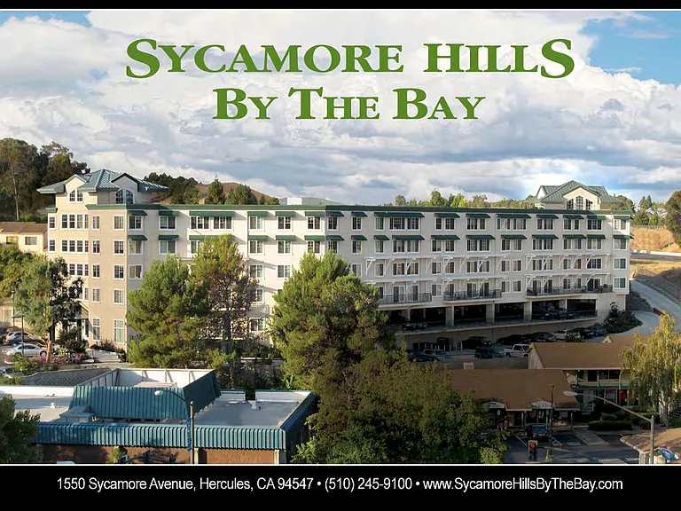 Sycamore Hills by the Bay — Photo 8