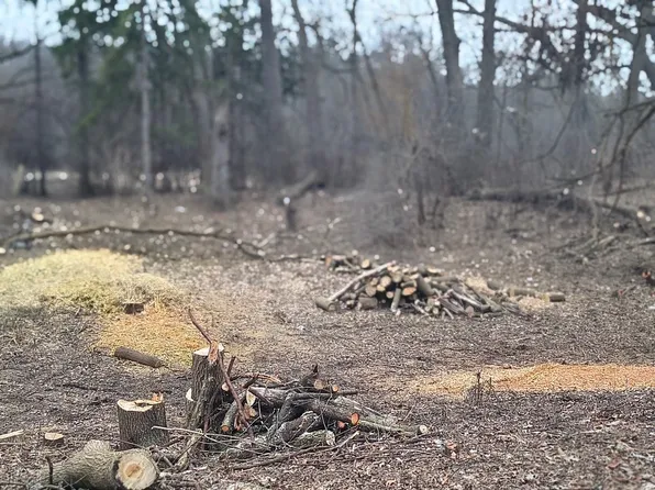 LOT 1 Asbury Ct, Fox River Grove, IL 60021