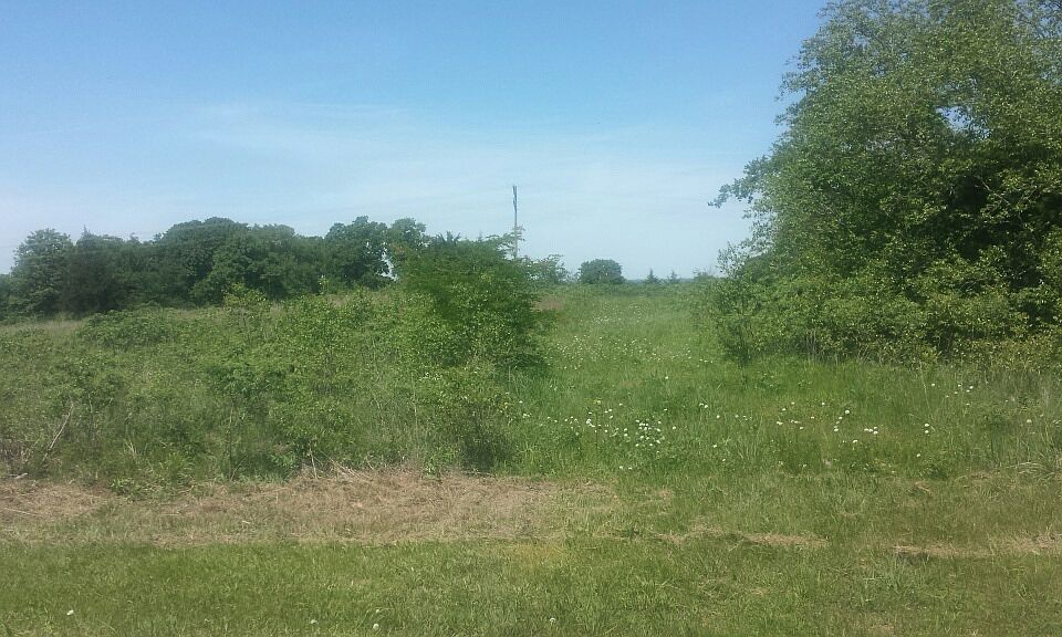 1st image of River Oak Dr #149