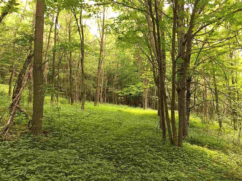2nd image of 0 BOZENKILL Road
