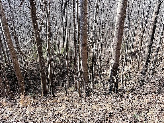 4th image of 0 Ridge Run Rd