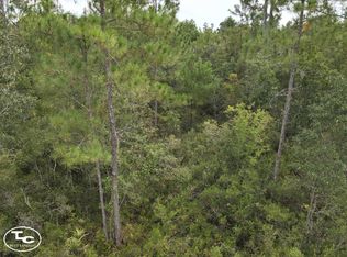 0 SW Hike Lake Rd, Madison, FL 32340
