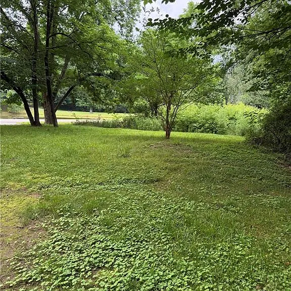 1515 Little Rd — Photo 2