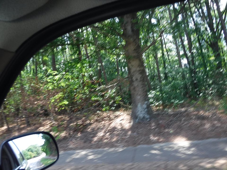 2nd image of 2210 Spring Forest Rd #4