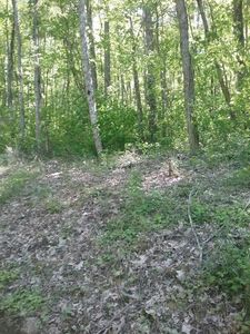 Na Battle Branch Rd, Bryson City, NC, 28713