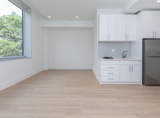 1127 Harrison Ave #219, Roxbury, MA 02119