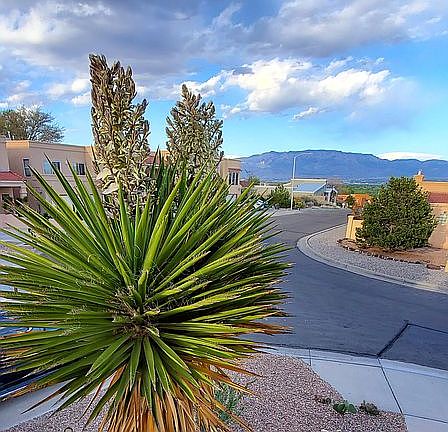 Mountain and City Views!