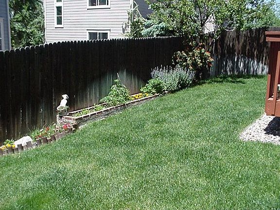 GREAT BACK YARD (VIEW 1)