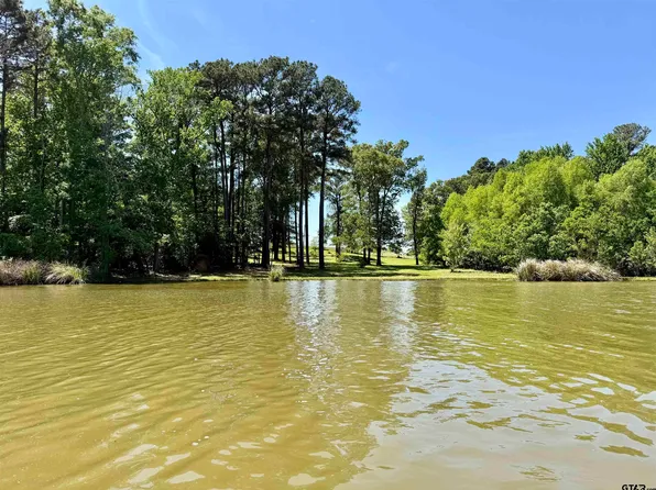 10196 County Road 3202, Chandler, TX 75758