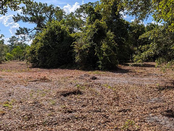 2nd image of 1425 LEE Road
