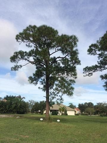 1st image of 9410 Pinebark Ct