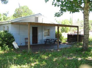 8650 NE 305th Ave, Salt Springs, FL 32134